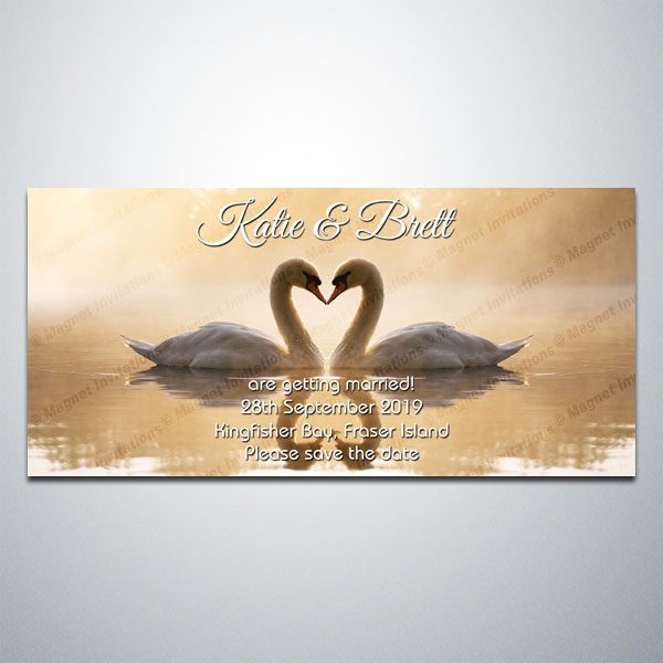 beautiful Save the Date magnet featuring two white swans